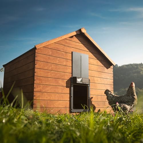 RUN-CHICKEN Door Eternal – Solar Automatic Chicken Coop Door with Built-in Solar Power & Battery Backup, Smart App & Timer Control, Weatherproof Aluminum, Predator-Proof, Easy to Install (Gray)