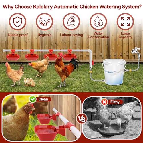Kalolary Complete Set Automatic Chicken Waterer System | Large Poultry Chicken Water Cups with Stainless Steel PVC Pipeline,Float Valve and Tank Connector Kit,66 Accessories Included