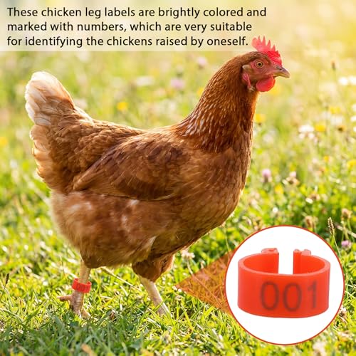100 Pcs Adjustable Chicken Leg Bands, 16mm Chicken Identification Band, Color-Coded Leg Bands for Chickens, Clip-On Round Numbered Poultry Legs Tags for Chickens & Farmers Easy Flock Management