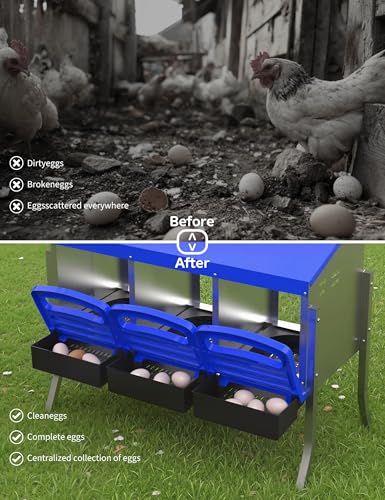 Metal Chicken Nesting Box with Easy-Collect Tray & Lid – 3/4/2x2 Compartment Heavy Duty Roll Away Nesting Boxes for Chickens, Wall Mount or Freestanding, Galvanized Steel Hen Laying Box for Coop