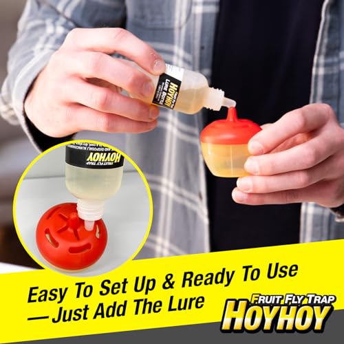 HOY HOY Fruit Fly Trap – 2 Traps (1 Pack) – Attracts & Traps Fruit Flies, Up to 120-Day Supply, Food-Based Lure, Indoor Use for Kitchen, Sink & Trash Areas