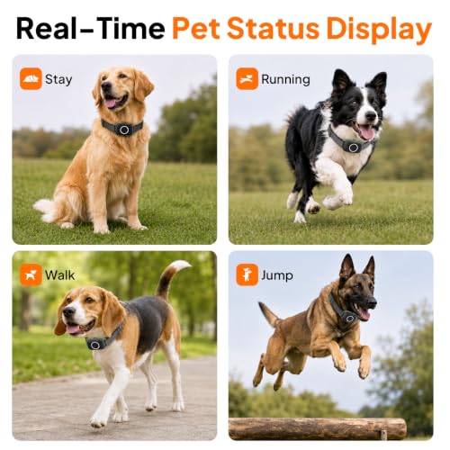 4-in-1 Wireless Dog Fence with Training, Bark Control, Real-Time Pet Status | 3 Training Modes: Beep/Vibration/Static, IPX7 Waterproof, Remote Boundary Collar, Invisible Fence for Small/Medium/Large Dogs