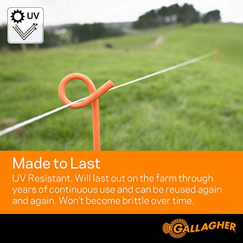 Gallagher S12 Solar Energizer and 1312' Poly Wire Electric Fence Kit for Livestock, Gardens, Orchards, Pets, and More