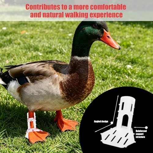 4pcs Poultry Leg Splint Set, Poultry Broken Leg Support Curled Toe Corrector with 2 Bandages 10 Long Cable Ties & 10 Short Cable Ties for Chicken Duck Goose