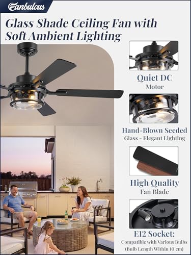 Fanbulous 52" Farmhouse Ceiling Fan with Light & Remote App, Rain Glass | Quiet DC Motor, 6-Speed Reversible, Downrod Mount, Double-Sided Blades, Black & Wood for Bedroom, Living Room - color: Black