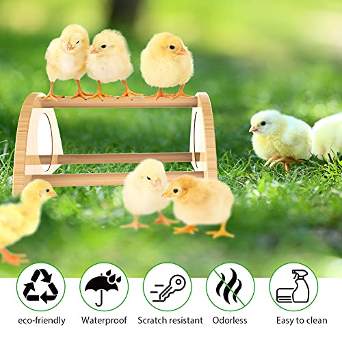 Mini Chick Perch with Mirror, Bamboo Roosting Bar | strong roosting bar for coop and brooder, training perch for large birds, hens, parrots, macaw, easy assemble&clean,fun toys