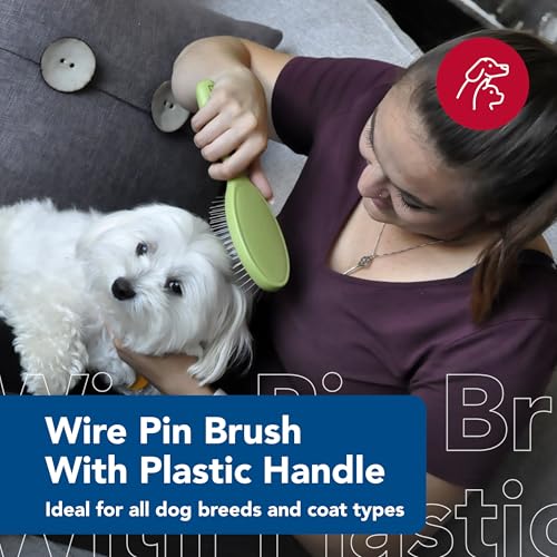 Coastal Pet Safari Wire Pin Brush - No-Slip Plastic Handle for Short and Long Pet Hair - 9.25" x 2.5" Compatible Grooming Tool - size: Large