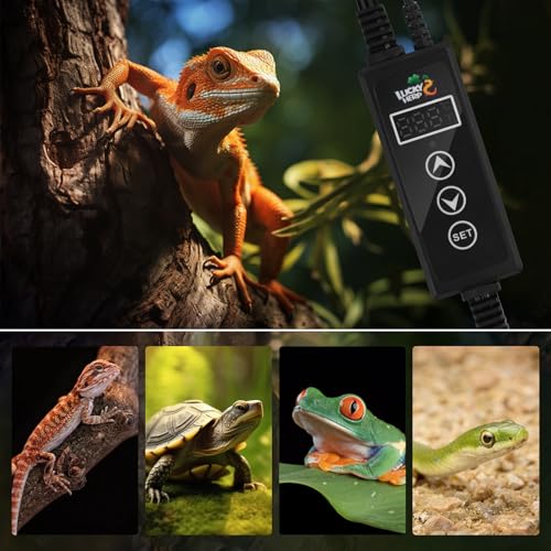 LUCKY HERP Reptile Dimming Thermostat, PID Heat Lamp Temperature Controller with LED Digital Screen for Reptile Heat Lamp Heat Mat & Heaters, Support ℉/℃, Memory Function