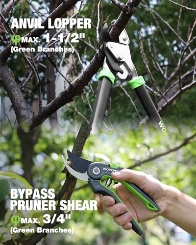 WORKPRO 3-Piece Garden Shears Set, Heavy-Duty Gardening Clippers | Includes 20” Hedge Shear, 24” Anvil Lopper & 8” Pruning Shear, with Sharp Blade, Comfort Grip for Branch, Shrub, and Hedge - size: 3PCS - Garden Shears Set