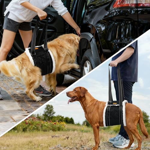 Dog Lift Harness Sling for Back Legs, Adjustable Rear Leg Support & Mobility Aid, Hip Support for Senior/Disabled Dogs, Soft Fleece Lining, Padded Handles, for CCL/ACL Surgery (Black, Medium) - size: Medium