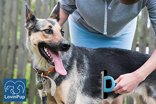 Cat & Dog Brush for Shedding – Deshedding Tools for Pets | 95% Shedding Reduction for Cleaner Homes – Removable Stainless Steel Comb with Comfort Grip Handle for Pets with Dense Coats - size: Grooming Brush