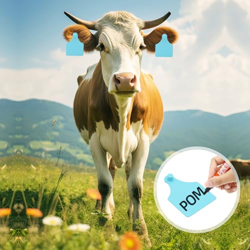 TPU Large Size Split Type Blank Large Cattle Ear Tags,50PCS Upgrade to Prevent Tampering Livestock Ear Tags, for Cattle,Sheep Goat, Pig, 3.9x2.9in (Blue) - color: Blue