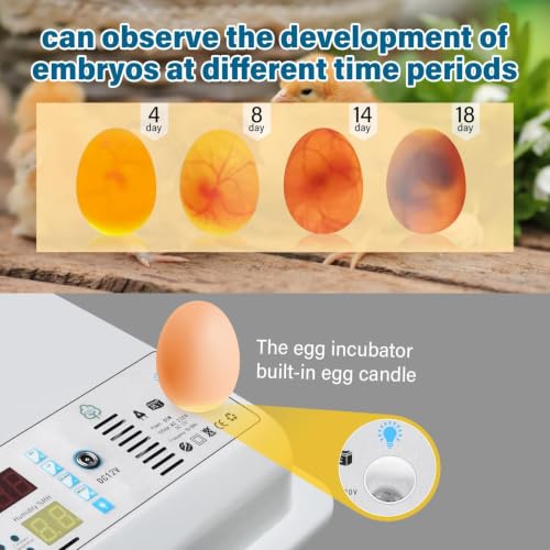 120 Egg incubators for Hatching Eggs with Automatic Turning & 5 Modes | Egg incubator with temperature control, incubation day tracking, smarts egg turning system and multi-poultry support - color: 120 Egg White