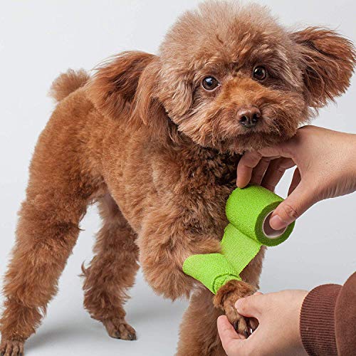 RISEN Cohesive Bandage 2” x 5 Yards, 6 Rolls, Self Adherent Wrap Medical Tape, Adhesive Flexible Breathable First Aid Gauze Ideal for Stretch Athletic - color: Grass Green