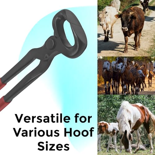 14" Vinyl Hoof Nipper, Carbon Steel & Chrome Vanadium Farrier Tool for Horses – Durable, Sharp & Rust-Resistant - size: 14"Vinyl Hoof Nipper