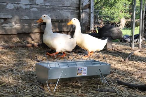 Little Giant® Duck Feeder - Galvanized Steel with Feed Saver Grid - Heavy Duty Metal Feeder Designed for Ducks - Made in USA (20 Inch) - size: 20 Inch