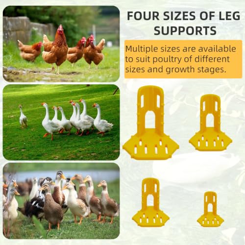 4 Sizes Poultry Leg-Splint Set, Leg Support for Injured Chicken, Goose, Duck - color: Yellow And White