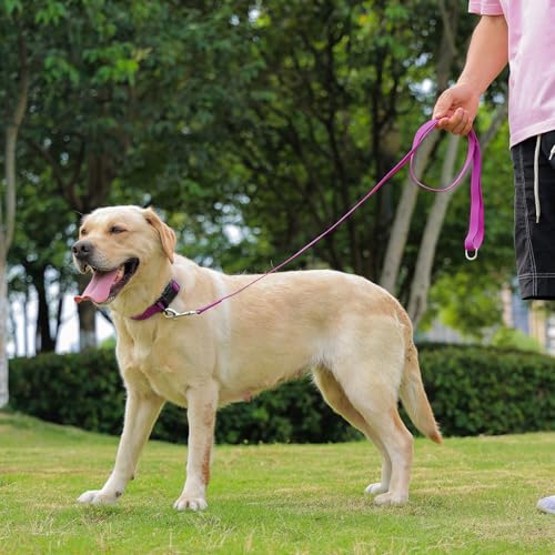 Waterproof Dog Collar, Easy to Clean Rubber Dog Collars with Quick Release Buckle Fits Small Medium or Large Dogs (Purple, M < 11.8-18.5 inch) - color: Purple, size: M (11.8-18.5 inch)