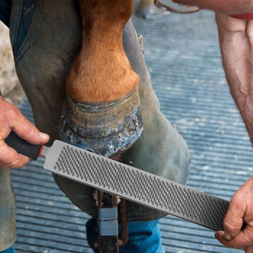 Gisafai 2 Pcs 18 Inch Rasps for Shoeing Horses with Handle Trimming File Carbon Steel Farrier Tools for Repair Horse Goat Hooves Cow Donkey Pig Animal Hooves Repairing Wood Working Supplies - size: 18 Inch