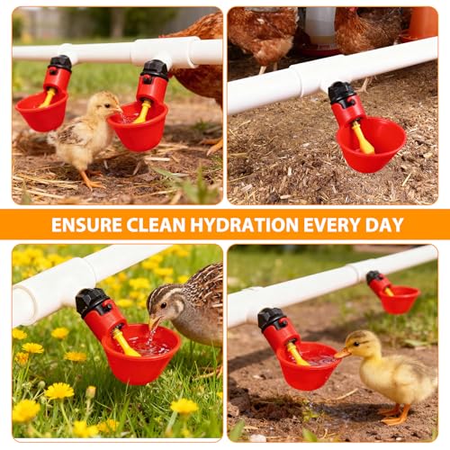 6 Packs Chicken Waterer Cups with PVC Tee Fittings, 1/8 Inch FTP Threads | Keep Clean Water, Automatic Poultry Feeder Cups Water Feeder for for DIY 1/2" Pipe System Chicks, Duck, Goose, Quail