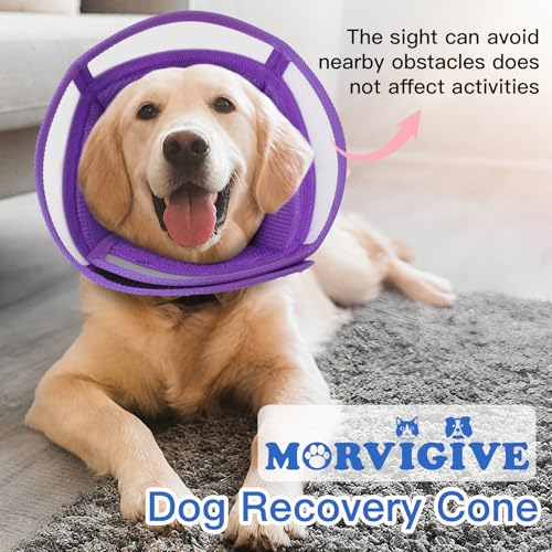 Dog Cone Collar After Surgery to Stop Licking | Adjustable Elizabethan Collar for Neutering, Lightweight Breathable Recovery Neck Cone to Prevent Biting Wounds & Hot Spots (Purple, L) - color: Purple, size: Large