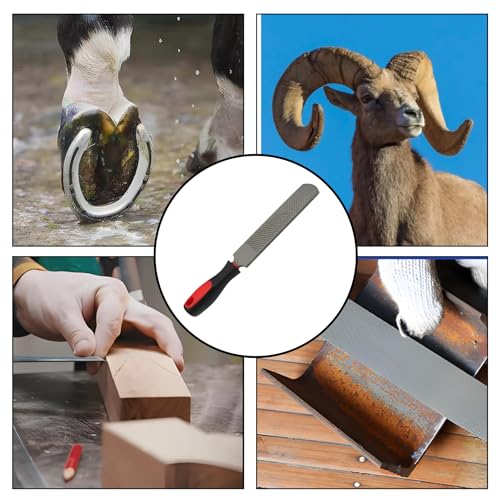 Double-Sided Hoof Rasp, 12'' Farrier File Tool with Ergonomic Rubber Handle, Carbon Steel Horseshoe File for Trimming Horse Goat Cow Donkey Hooves – Heavy-Duty Animal Hoof Care Tool - size: 12''