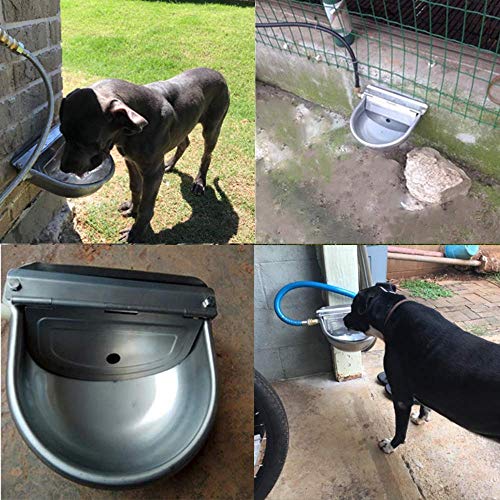 Automatic Cattle Waterer Stainless Steel Dog Water Bowl Outdoor & Indoor | Adjustable water level, Hanging With Garden Hose quick connect Mounting Screw, for sheep, ducks, pigs, horses, cows, chicken