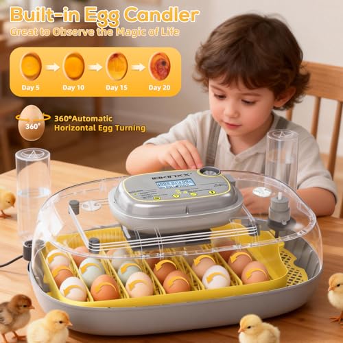 IBKINXX Incubator for Hatching Eggs-24 Egg Capacity, Automatic Egg Turner, Temperature & Humidity Control, 360° Viewing for Chicken, Duck and Quail Eggs (Yellow)