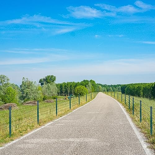 (4 Sizes: 4-5-6-7 Feet) LADECH 4 Feet Sturdy Duty Metal Fence Post with 20 Zip Ties & 20 Post Clips – Garden U Posts for Fencing (4 Feet - Light - Set 10) - style: 4 Feet - Light - Set 10