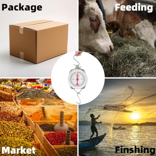 Precision Hanging Scale, 110 LB / 50KG Luggage Weight Scale | Spring Dial Weight Scale Large Fish Scale, Mechanical Kitchen Weighing Food Scale for Market, Feeding, Kitchen