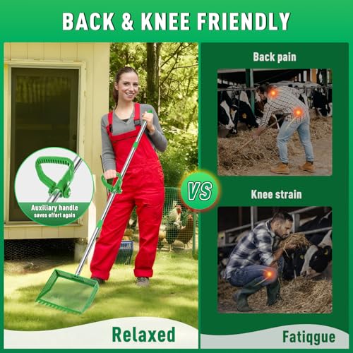 Large Chicken Poop Scooper: 2-in-1 Metal Pooper Scooper & Rake Adjustable 62" Long Handle Stainless Steel Sand Sifting Litter Shovel Chicken Coop Scoop Cleaning Tool for Goat Yard Bright Green - color: Bright Green