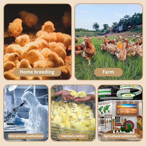 21-Piece Large Chicken Brooder Box 32", All-in-One Kit, Up to 35 Chicks Capacity, Brooder with Heat Lamps, Pee Pads, Thermometer, Cleaning Tools, Chick Brooder Box for Quail, Hamsters, Pattern A - size: 31.5"L x 15.75"W x 15.75"H