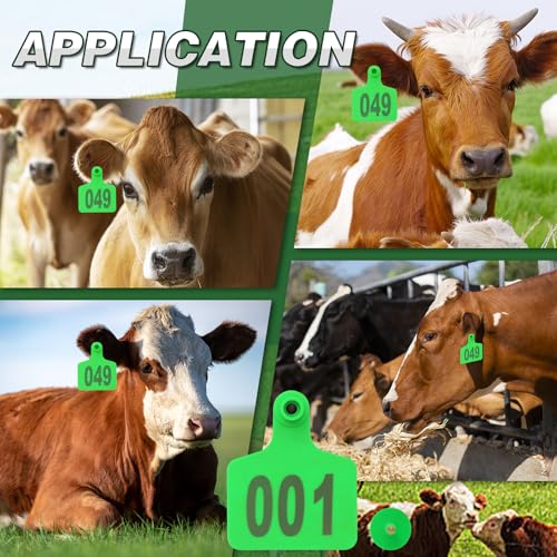 100PCS Cattle Ear Tags Numbered 001-100,Plastic Livestock Ear Tags with Animal Identification Tags for Cattle Cows Hogs Pigs Sheep Goats (Green) - color: GREEN