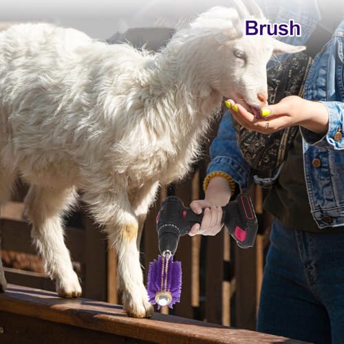 Willinglong 2 Pcs 4 Inches Livestock Mini Drill Scratch Brush Purple Brush Grooming Kit Suitable for Cattle, Cows, Horses, Sheep and Pigs - size: 4 Inch