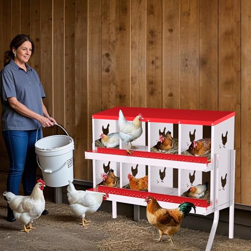 Nesting Boxes for Chickens, 6/8/10-Hole Galvanized Steel Chicken Nesting Boxes for Laying Eggs with Egg Rollaway System to Protect Eggs, Easy Egg Collection, for Chicken Coop Backyard Farm