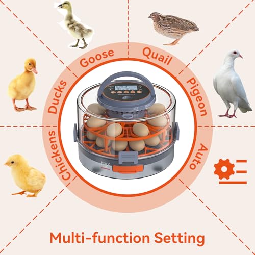 Egg Incubator for Hatching 18 Eggs with Auto Turning, Humidity Sensor, 5 Preset Modes, Transparent Lid for Observation, Ideal for Family Projects, Science Classrooms, Chickens Ducks Quails (Orange)