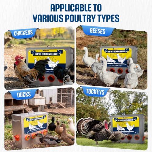 85lbs Large Capacity Metal Chicken Feeder, Galvanized Poultry Feeder Trough | Chicken Feeder No Waste, Rainproof Poultry Feeders, Preventing Small Animals, Suitable for Chickens, Ducks, Turkeys