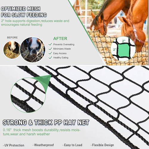 6x6 ft Square Bale Hay Net - Large Slow Feeder for Horses & Livestock, Knotless Design Slow Feeder Hay Nets, Fits 4x4ft 5x5ft 6x6ft Round & 3x3x8ft 4x4x8ft 5x5x8ft Square Bales (Black-Square) - color: Black-Square