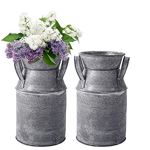 TOPZEA 2 Pack Shabby Chic Milk Can Vase, Galvanized Finish Milk Can Vase Jug Rustic Metal Flower Vases Petite Bucket for Home, Kitchen, Living Room, Farmhouse Decor, Table Centerpieces - style: Country Rustic