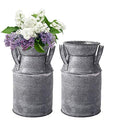 TOPZEA 2 Pack Shabby Chic Milk Can Vase, Galvanized Finish Milk Can Vase Jug Rustic Metal Flower Vases Petite Bucket for Home, Kitchen, Living Room, Farmhouse Decor, Table Centerpieces - style: Country Rustic