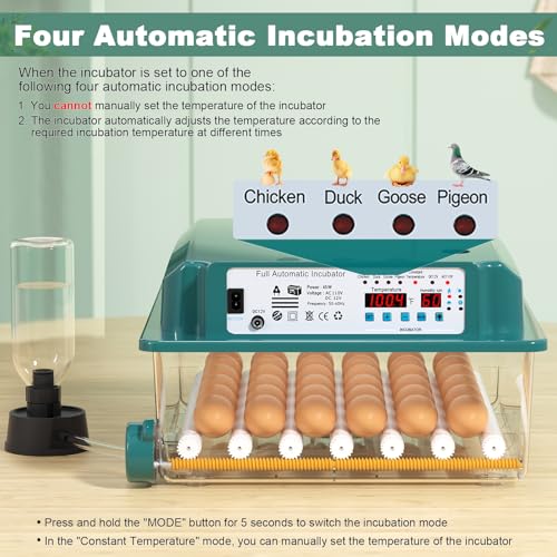 CoInceptus 36 Eggs Incubators for Hatching Eggs,Egg Incubator with 4 Automatic Incubate Mode,Chicken Incubator with Automatic Egg Turning Humidity Display,Quail Egg Incubator with Egg Candle - size: 36 Egg