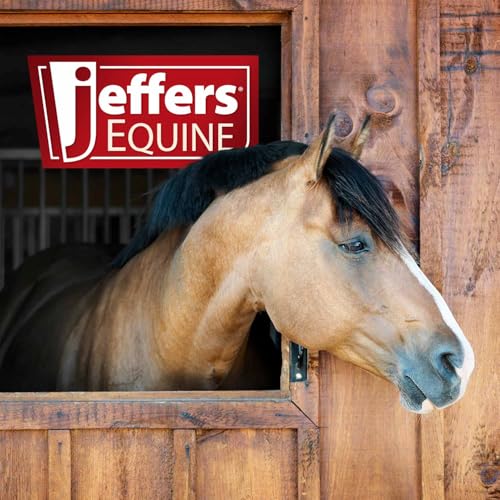 Jeffers Equine Braided Mule Tape Halter with 10' Detachable Lead Rope Set for Horses, 14 to 18 Hands - Stylish Design with Adjustable Poll Strap, Easy to Use Western Tack - Blue - color: Blue