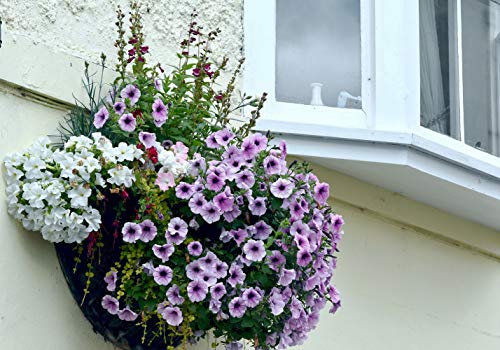 2PCS Half Round Hanging Basket Liners Replacement Coco Liner for Hanging Basket Wall Flower, 100% Natural Coconut Fiber Plant Basket Liner for Garden Planter Flower Pot (20 inch) - size: 20 inch