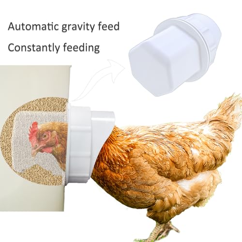 Essilnn DIY Chicken Feeder and Waterer Automatic Chicken Feeder No Waste Poultry Feeder Kit for Buckets Barrels Bins Troughs, 6 Ports and 6 Water Cups
