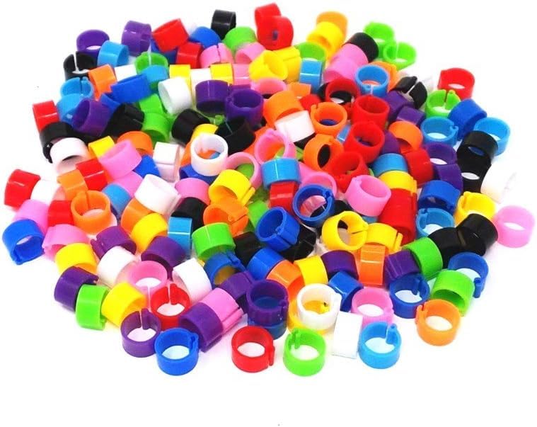 50 Pcs Poultry Leg Bands - Multi-Color Clip-On Rings for Bird Identification | 8mm Diameter Foot Bands for Ducks, Chicks, Pigeons, and Parrots