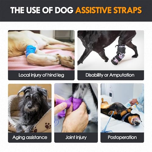 Dog Lift Harness |Harness for Large Dogs, Adjustable Hind Leg Support Sling for Elderly Injured Arthritic Disabled Dogs, Mobility & Rehabilitation Aid(S) - size: S