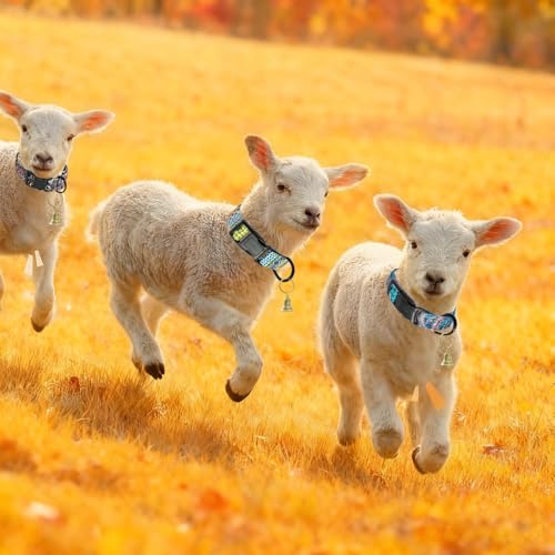 Goat Collar, 3 Pack Goat Collars with Metal Bell, Polyester Adjustable Collar with Bronze Metal Bell for Sheep, Cow, Dog and Other Small Farm Animals