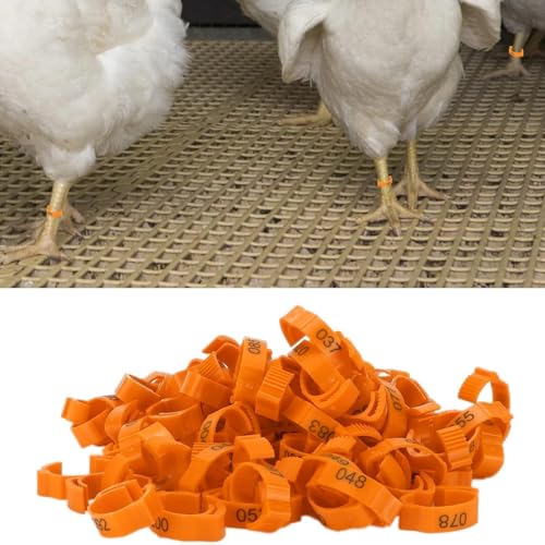 100Pcs Chicken Leg Rings, 5 Colors Readable Numbered Chicken Identification Leg Bands Card Slots Design Poultry Leg Tags for Chicks Ducks (Orange (100 Pieces per Pack)) - color: Orange (100 Pieces Per Pack)