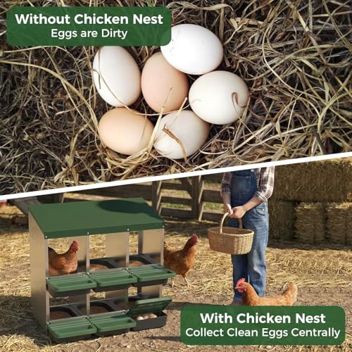 6-Compartment Chicken Nesting Box, Heavy Duty Galvanized Steel Poultry Nest Box, Wall Mount/Freestanding Design for Hens, Ducks, Backyard Homesteads & Farm Use, Green, with Soft Mats, No Stand - color: Green, size: 6 Room&Mat Board