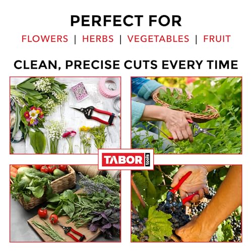 TABOR TOOLS K7A Pruning Snips – 7,5" – Carbon Steel Flower Pruning Scissors for Gardening | Floral Snips and Pruners for Deadheading, Trimming & Harvesting Herbs, Flowers, Fruits or Vegetables - style: K7A Pruning Shears